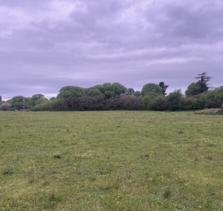 Projet De construction Pertuis - constrcuteur de maison - Villas la Provençale