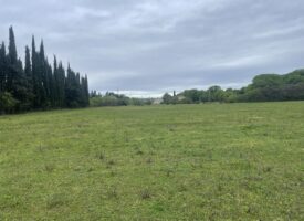 Terrain Pertuis