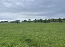 Terrain Pertuis