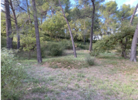 terrain gréasque