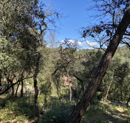 Terrain d’Exception à Peypin – 934 m² – Rare sur le marché! - constrcuteur de maison - Villas la Provençale