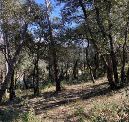 Terrain d’Exception à Peypin – 934 m² – Rare sur le marché! - constrcuteur de maison - Villas la Provençale