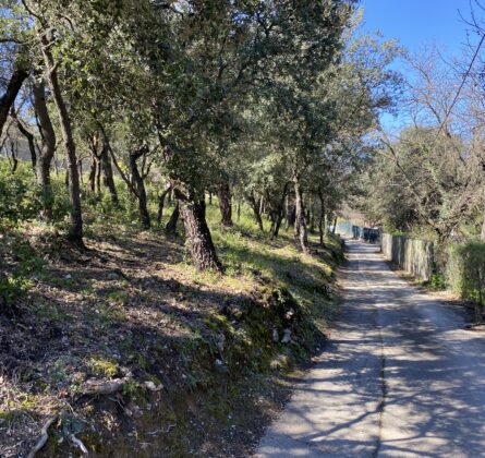 Terrain d’Exception à Peypin – 934 m² – Rare sur le marché! - constrcuteur de maison - Villas la Provençale