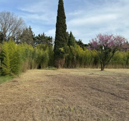 Magnifique Terrain avec grande Surface - constrcuteur de maison - Villas la Provençale