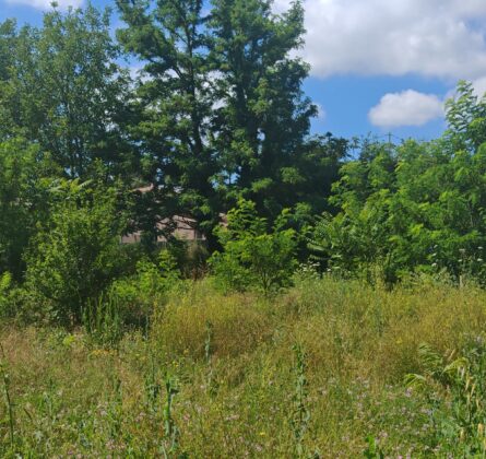 terrain meyrargues - constrcuteur de maison - Villas la Provençale