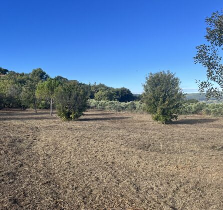 terrain Rognes - constrcuteur de maison - Villas la Provençale
