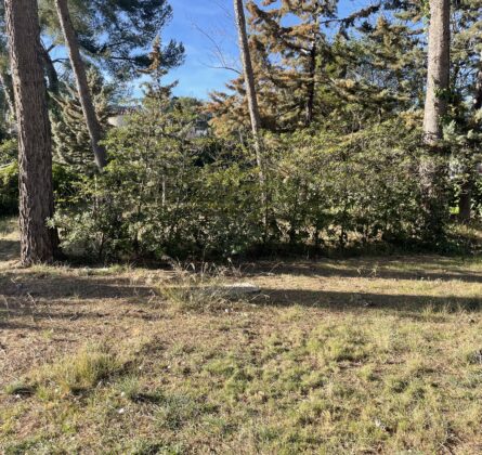 projet de construction Saint-Mitre-Les-Remparts - constrcuteur de maison - Villas la Provençale