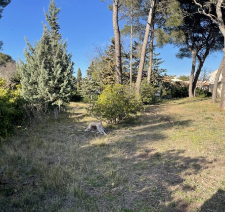 projet de construction Saint-Mitre-Les-Remparts - constrcuteur de maison - Villas la Provençale