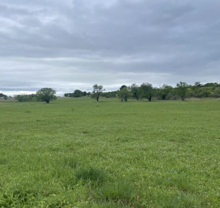 Projet de Constructions Pertuis - constrcuteur de maison - Villas la Provençale