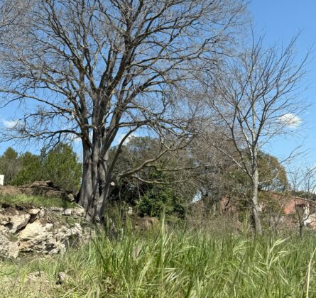 RARE PELISSANNE - constrcuteur de maison - Villas la Provençale