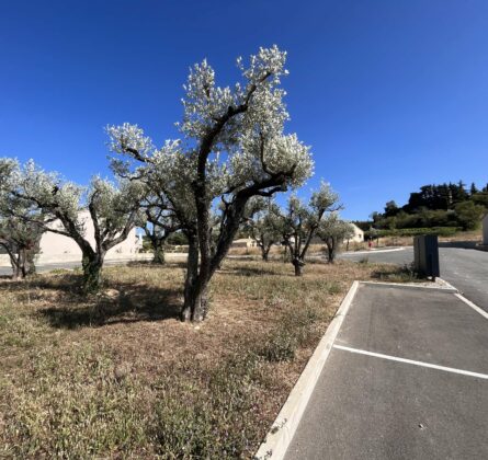 coup de foudre vaucluse - constrcuteur de maison - Villas la Provençale