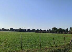 dernière opportunité