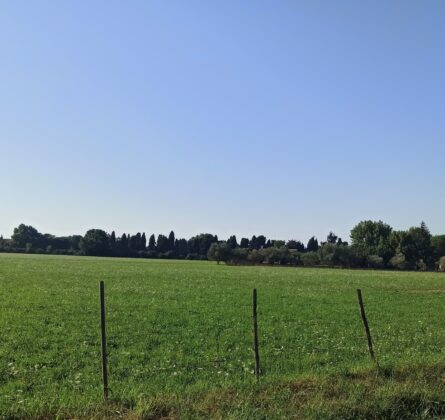 dernière opportunité - constrcuteur de maison - Villas la Provençale