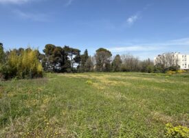 TERRAIN EN COLLINE VIABILISE HORS CENTRE VILLE
