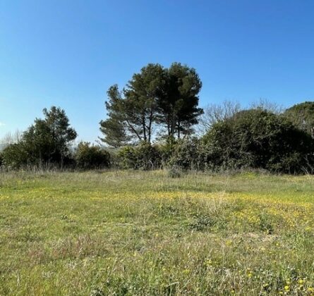 Terrain à vendre à Mérindol – Emplacement de choix, vue dégagée, plein sud ! - constrcuteur de maison - Villas la Provençale