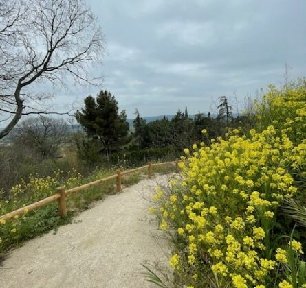 Vue imprenable & emplacement privilégié – Terrain constructible à Cadenet - constrcuteur de maison - Villas la Provençale