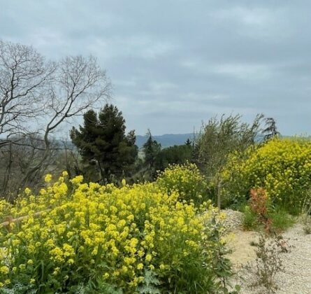 Vue imprenable & emplacement privilégié – Terrain constructible à Cadenet - constrcuteur de maison - Villas la Provençale
