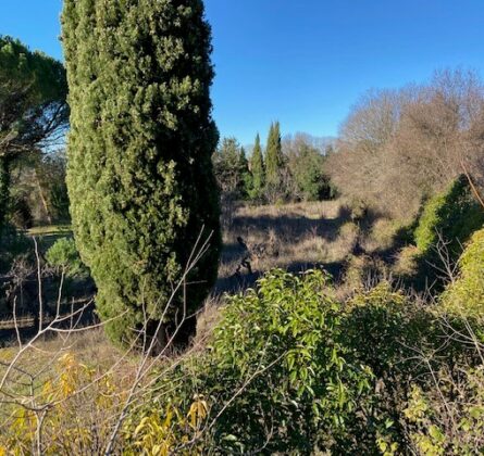 Vue imprenable & emplacement privilégié – Terrain constructible à Cadenet - constrcuteur de maison - Villas la Provençale