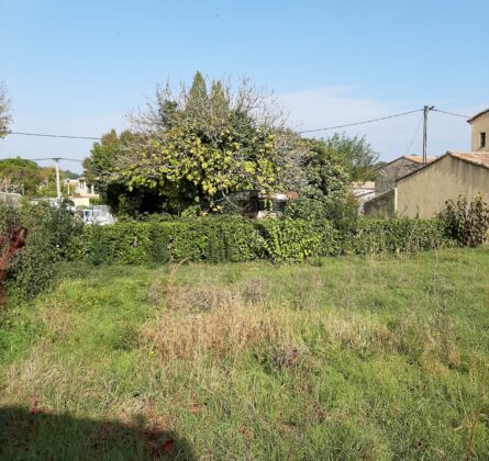Terrain constructible à Marseille 13e – Quartier Château Gombert - constrcuteur de maison - Villas la Provençale