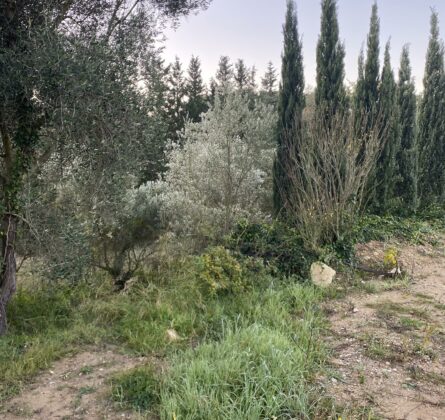 Terrain constructible à Marseille 13e – Quartier Château Gombert - constrcuteur de maison - Villas la Provençale