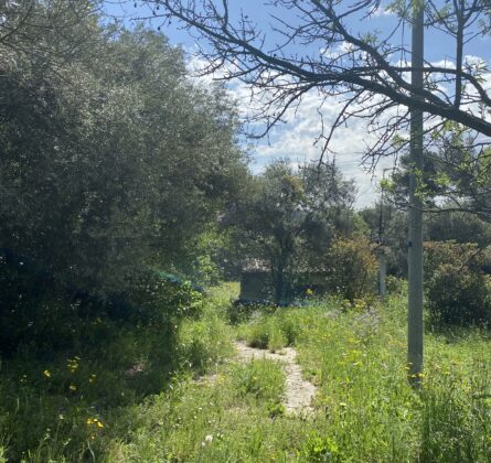 Alta Pluvença – Plus qu’une maison, une respiration - constrcuteur de maison - Villas la Provençale