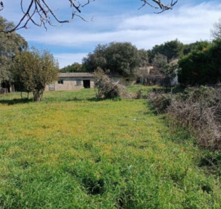 TERRAIN CONSTRUCTIBLE VIABILISE DANS LE CENTRE - constrcuteur de maison - Villas la Provençale