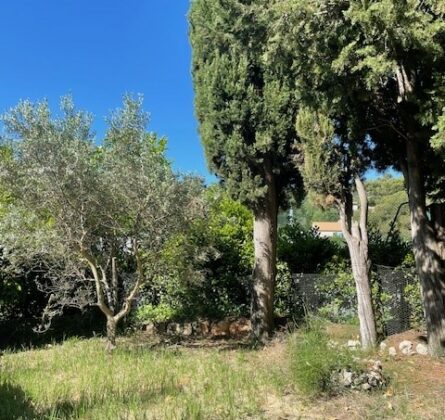 Terrain de 500 m² au Paradou, Cœur des Alpilles - constrcuteur de maison - Villas la Provençale