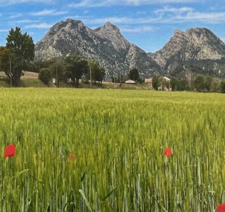 Rare terrain constructible sur SENAS - constrcuteur de maison - Villas la Provençale