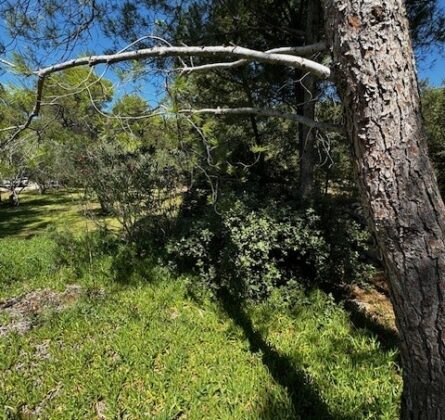 EXCEPTIONNEL A PELISSANNE - constrcuteur de maison - Villas la Provençale