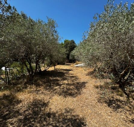 EXCEPTIONNEL A PELISSANNE - constrcuteur de maison - Villas la Provençale