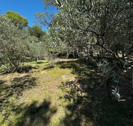 EXCEPTIONNEL A PELISSANNE - constrcuteur de maison - Villas la Provençale