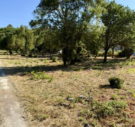 RARE FUVEAU - constrcuteur de maison - Villas la Provençale