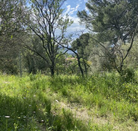 Alta Pluvença – Plus qu’une maison, une respiration - constrcuteur de maison - Villas la Provençale