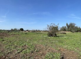 Maison à bâtir – Secteur recherché