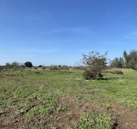 Maison à bâtir – Secteur recherché - constrcuteur de maison - Villas la Provençale