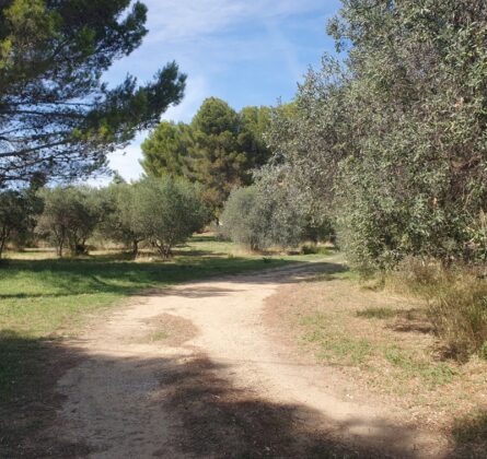 Maison à bâtir – Secteur recherché - constrcuteur de maison - Villas la Provençale