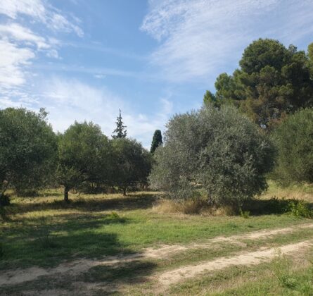 Maison à bâtir – Secteur recherché - constrcuteur de maison - Villas la Provençale