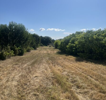 Saint-Victor-la-Coste – Terrain de 400 m² avec projet de villa de plain-pied de 70 m² – 2 chambres - constrcuteur de maison - Villas la Provençale