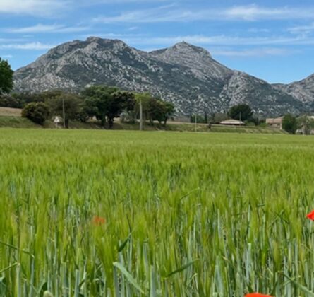 exceptionnel - constrcuteur de maison - Villas la Provençale
