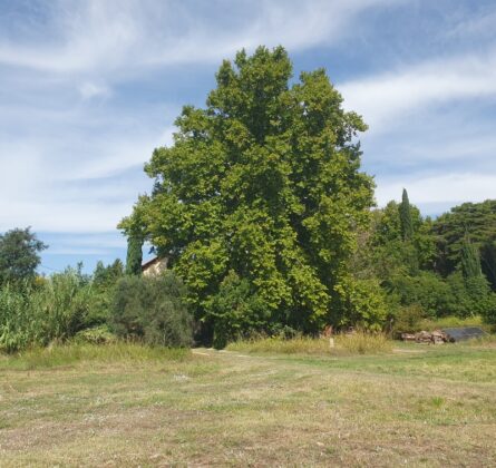 Maison à bâtir – Secteur recherché - constrcuteur de maison - Villas la Provençale