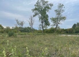 À vendre – Terrain rare à saisir à proximité d’Avignon