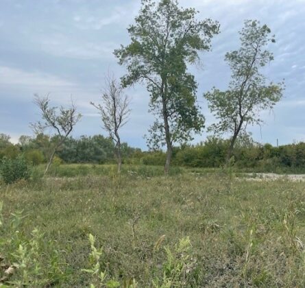 À vendre – Terrain rare à saisir à proximité d’Avignon - constrcuteur de maison - Villas la Provençale