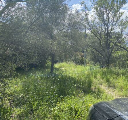 Terrain d’exception – Marseille 11e, Quartier de La Treille - constrcuteur de maison - Villas la Provençale