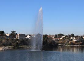 COIUP DE COEUR SUPERBE TERRAIN PROCHE ETANG DE L’OLIVIER !!