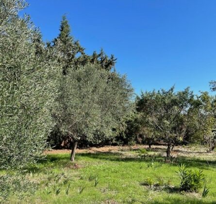 Lançon-de-Provence – Rare à la vente ! - constrcuteur de maison - Villas la Provençale