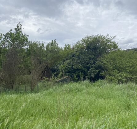 Terrains constructibles à vendre à La Détrousse – Emplacement recherché, fort potentiel - constrcuteur de maison - Villas la Provençale