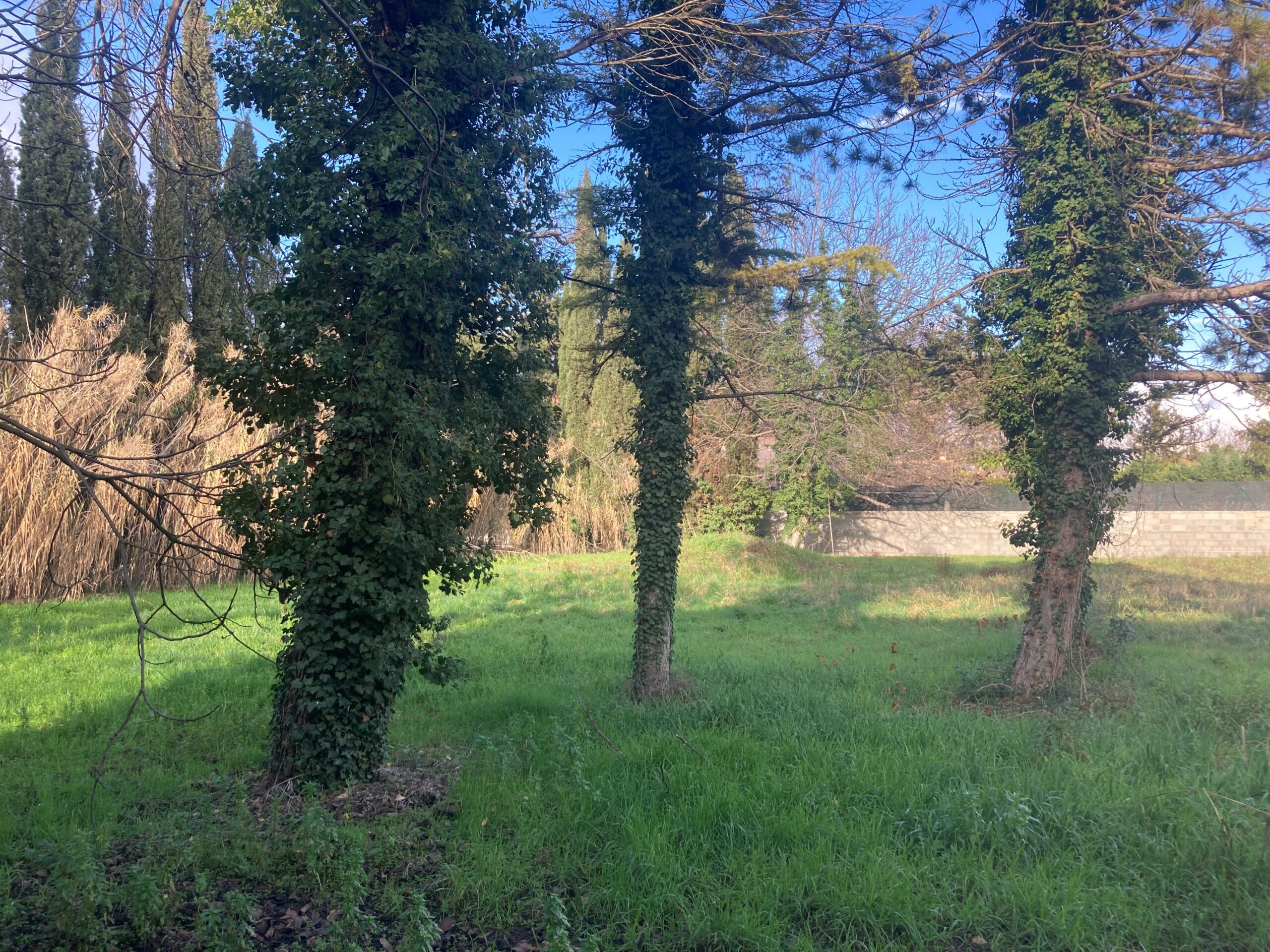 Nouveau - constrcuteur de maison - Villas la Provençale