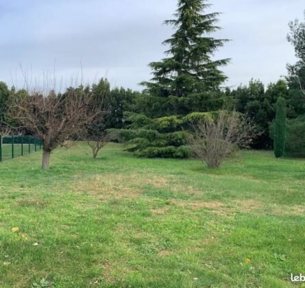 Terrain en exclusivité à Maussane-les-Alpilles - constrcuteur de maison - Villas la Provençale