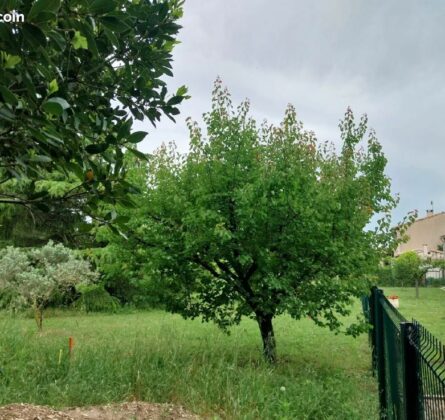 Terrain en exclusivité à Maussane-les-Alpilles - constrcuteur de maison - Villas la Provençale