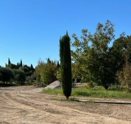 Terrain en exclusivité à Maussane-les-Alpilles – Projet de villa d’exception sur mesure - constrcuteur de maison - Villas la Provençale